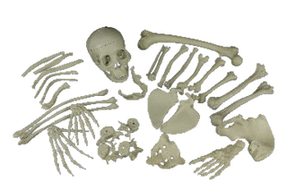 Enamel Instrument Tray Decor – Dapper Cadaver Props