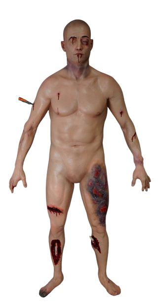 Types of Wounds Dura Jack Standing Body
