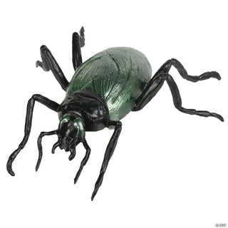Large Cockroach