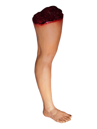 Kristina Legs - Female