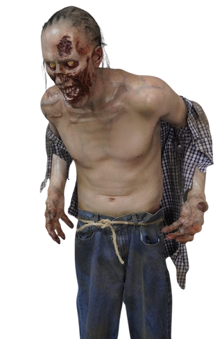 Zombie Zack Character