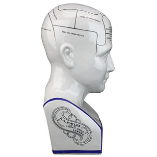 Porcelain Phrenology Head