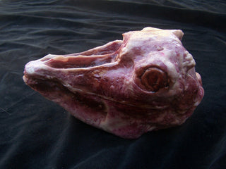 Skinned Goat Head