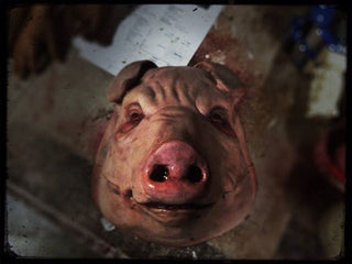 Fat Pig Head