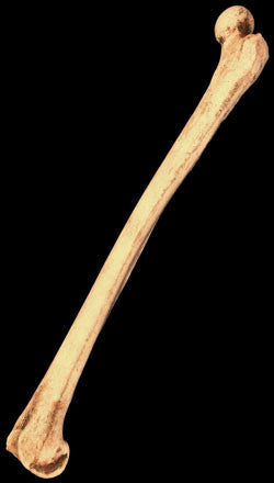 Prop Femur