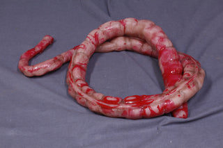 Silicone Large Intestine