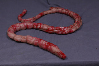 Silicone Large Intestine