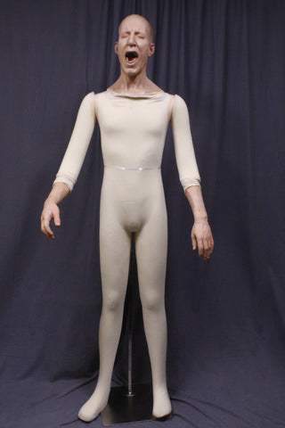 Martin Figure