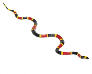 Coral Snake