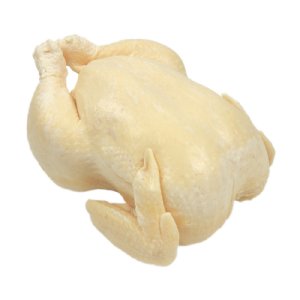 Raw Chicken Replica