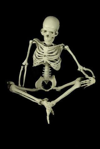 3ft Articulated Skeleton