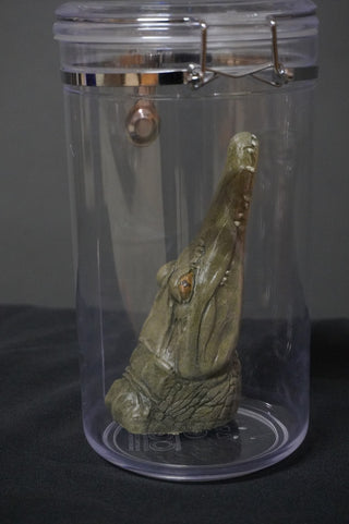 Alligator Head Apothecary Specimen Jar
