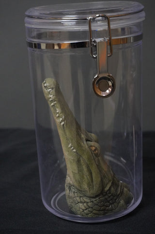 Alligator Head Apothecary Specimen Jar