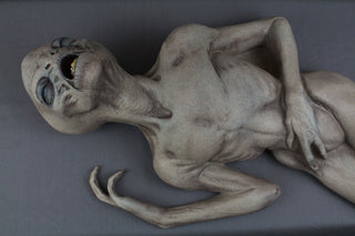 Crash Corpse Alien Prop