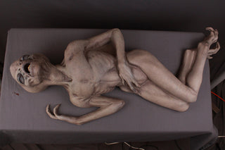 Crash Corpse Alien Prop