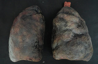 Smokers Lung Pair