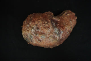 Cirrhosis Liver Prop