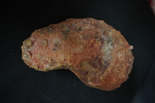 Cirrhosis Liver Prop