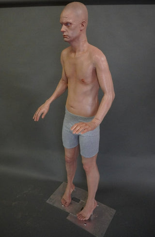 Standing Full Body Frank