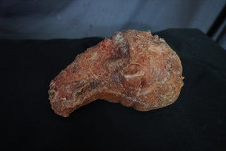 Cirrhosis Liver Prop