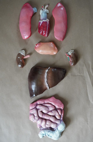 Flat Backed Organ Set