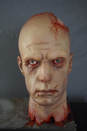 Exposed Skull Frank Head Prop