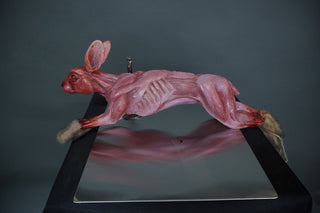 Skinned Rabbit with Paws