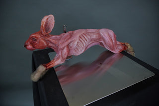 Skinned Rabbit with Paws