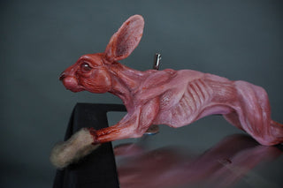 Skinned Rabbit with Paws