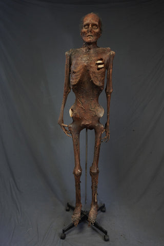 Nell Mummy Prop