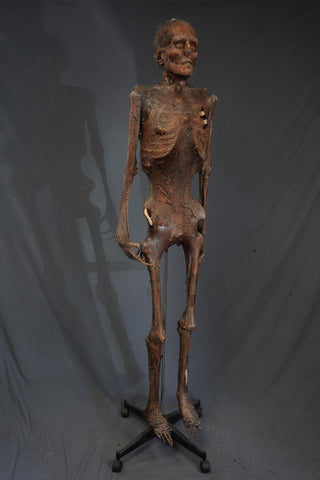 Nell Mummy Prop