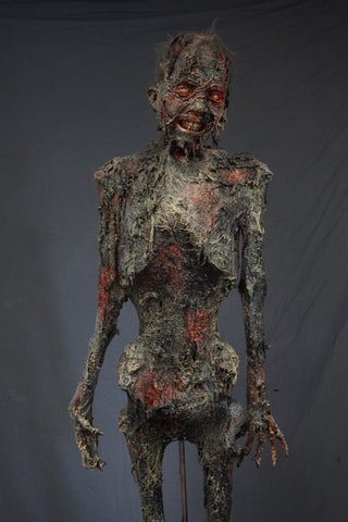 Burnt Molly Mummy