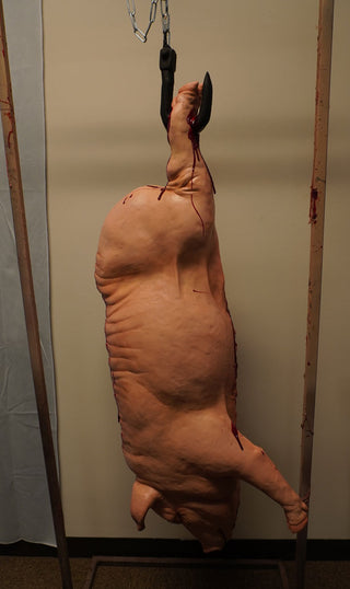 Hanging Full Side of Pork