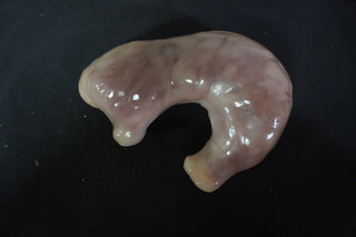 Silicone Stomach Prop