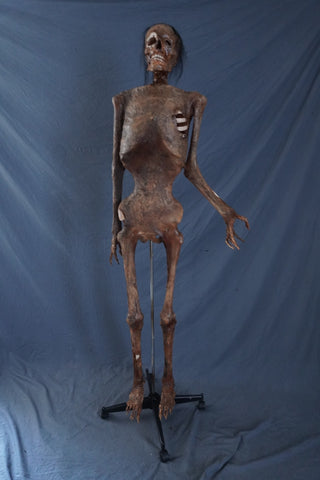 Houston Mummy