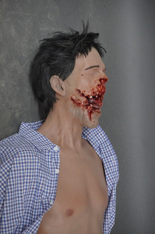 Smashed Face Martin Half Anatomical Dummy