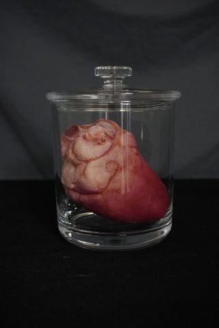 Small Lifelike Heart Apothecary Specimen Jar