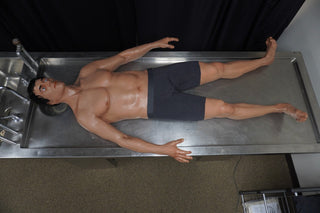 David Full Body