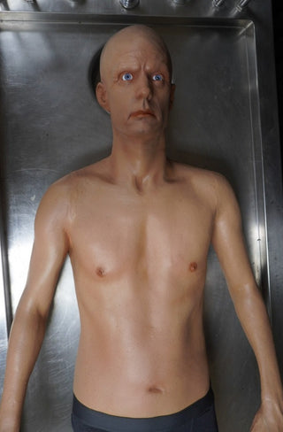 Frank Full Body