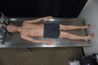 Frank Full Body