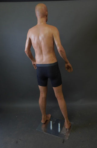 Standing Full Body Frank