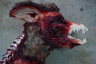 Exposed Bone Gory Coyote