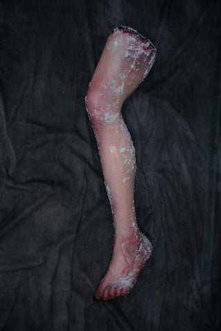 Frozen Hugo Leg