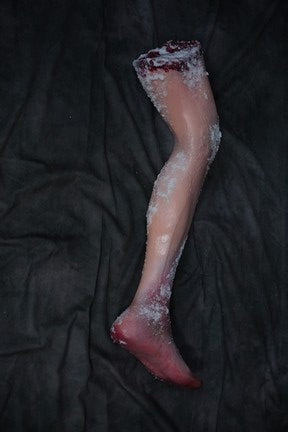 Frozen Hugo Leg