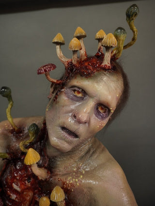 Mushroom Zombie Joaquin Character