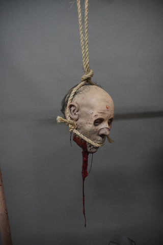Hanging Remy Head