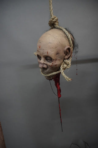 Hanging Remy Head