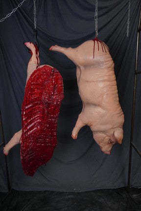 Hanging Full Side of Pork