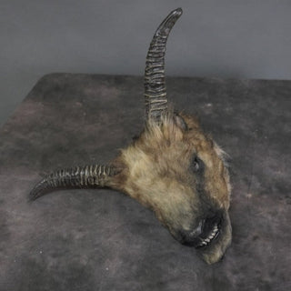 Furry Severed Goat Head