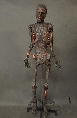 Burnt Kemmler Mummy